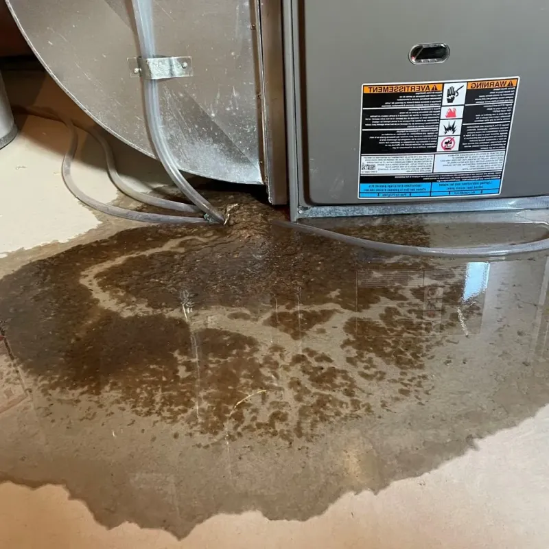 Pipe Burst and Leak Restoration in Muncie, IN
